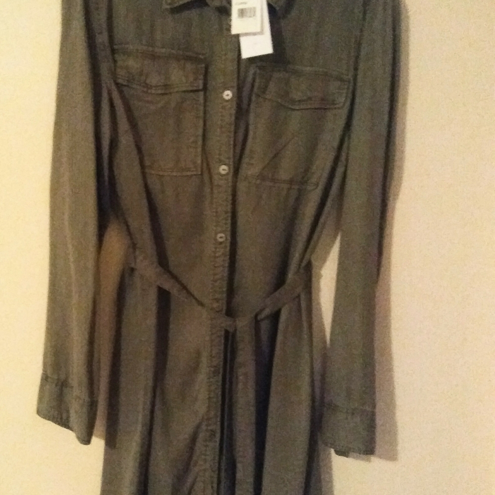 NWT Sanctuary shirt dress